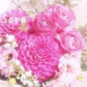 ヒメ日記 2025/03/26 00:16 投稿 鈴木蒼良 五十路マダム　和歌山店