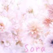 ヒメ日記 2025/03/31 00:10 投稿 鈴木蒼良 五十路マダム　和歌山店