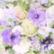 ヒメ日記 2025/03/31 00:18 投稿 鈴木蒼良 五十路マダム　和歌山店