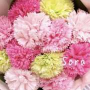 ヒメ日記 2025/03/31 00:52 投稿 鈴木蒼良 五十路マダム　和歌山店