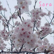 ヒメ日記 2025/03/31 18:00 投稿 鈴木蒼良 五十路マダム　和歌山店