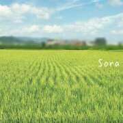 ヒメ日記 2025/04/01 23:10 投稿 鈴木蒼良 五十路マダム　和歌山店