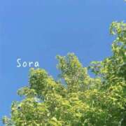 ヒメ日記 2025/04/01 23:20 投稿 鈴木蒼良 五十路マダム　和歌山店