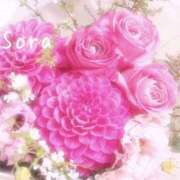 ヒメ日記 2025/04/02 11:38 投稿 鈴木蒼良 五十路マダム　和歌山店