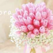 ヒメ日記 2025/04/09 02:10 投稿 鈴木蒼良 五十路マダム　和歌山店