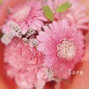 ヒメ日記 2025/04/13 13:16 投稿 鈴木蒼良 五十路マダム　和歌山店