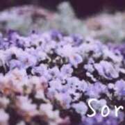 ヒメ日記 2025/04/20 02:22 投稿 鈴木蒼良 五十路マダム　和歌山店