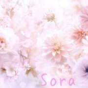 ヒメ日記 2025/04/20 06:26 投稿 鈴木蒼良 五十路マダム　和歌山店