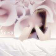 ヒメ日記 2025/04/21 08:30 投稿 鈴木蒼良 五十路マダム　和歌山店