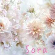 ヒメ日記 2025/04/28 04:56 投稿 鈴木蒼良 五十路マダム　和歌山店