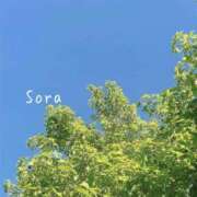 ヒメ日記 2025/04/28 05:10 投稿 鈴木蒼良 五十路マダム　和歌山店