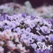 ヒメ日記 2025/05/17 23:22 投稿 鈴木蒼良 五十路マダム　和歌山店