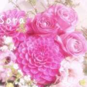 ヒメ日記 2025/05/19 08:18 投稿 鈴木蒼良 五十路マダム　和歌山店