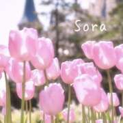 ヒメ日記 2025/05/24 21:34 投稿 鈴木蒼良 五十路マダム　和歌山店