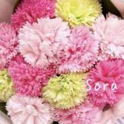 ヒメ日記 2025/05/27 10:34 投稿 鈴木蒼良 五十路マダム　和歌山店