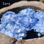 ヒメ日記 2025/06/02 12:10 投稿 鈴木蒼良 五十路マダム　和歌山店