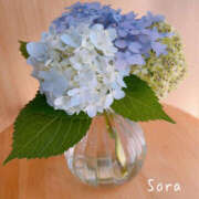 ヒメ日記 2025/06/08 01:44 投稿 鈴木蒼良 五十路マダム　和歌山店