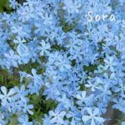 ヒメ日記 2025/06/10 23:52 投稿 鈴木蒼良 五十路マダム　和歌山店