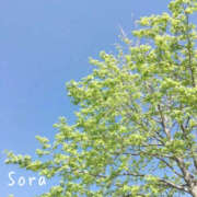 ヒメ日記 2025/07/07 22:44 投稿 鈴木蒼良 五十路マダム　和歌山店