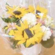 ヒメ日記 2025/07/08 22:58 投稿 鈴木蒼良 五十路マダム　和歌山店