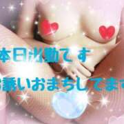 ヒメ日記 2025/02/21 14:42 投稿 内田選手 お願いマラどーな