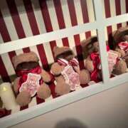 ヒメ日記 2025/04/28 00:16 投稿 もか 品川ラズベリー（シンデレラグループ）