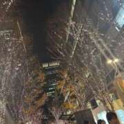 ヒメ日記 2025/01/21 16:52 投稿 モカ 五反田ハートショコラ（シンデレラグループ）