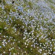 ヒメ日記 2025/08/20 19:21 投稿 モカ 五反田ハートショコラ（シンデレラグループ）