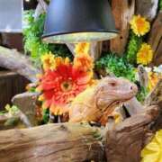 ヒメ日記 2025/08/08 13:45 投稿 もも◆体験◆美しい魅惑的美女 エピソード倉敷