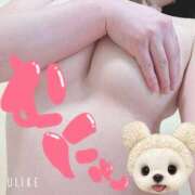 ヒメ日記 2025/09/18 04:12 投稿 黒川優(くろかわゆう) 姫路マダム大奥