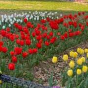 ヒメ日記 2025/03/02 16:10 投稿 亀山ユキ 五十路マダム姫路店