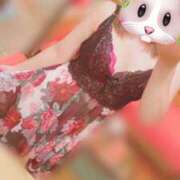 ヒメ日記 2025/06/24 07:45 投稿 かやの バイオレンス