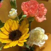 ヒメ日記 2025/07/04 00:55 投稿 かやの バイオレンス