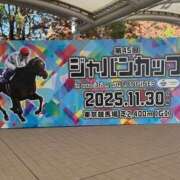 かやの ジャパンカップ🐎 バイオレンス