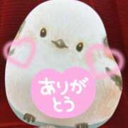 ヒメ日記 2025/12/23 17:55 投稿 かやの バイオレンス