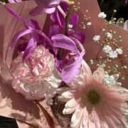 ヒメ日記 2026/04/09 15:51 投稿 かやの バイオレンス