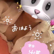 ヒメ日記 2026/05/11 09:55 投稿 かやの バイオレンス