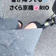 ヒメ日記 2026/01/21 08:27 投稿 りお 奥さまさくら京橋店