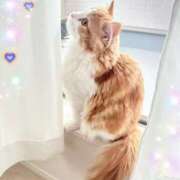 ヒメ日記 2026/04/20 08:34 投稿 りお 奥さまさくら京橋店