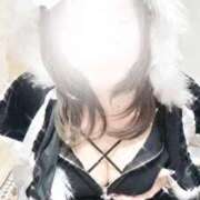 ヒメ日記 2025/11/17 13:09 投稿 りお clubさくら京橋店