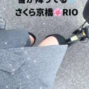 ヒメ日記 2026/01/21 09:02 投稿 りお clubさくら京橋店