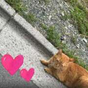 ヒメ日記 2025/01/19 12:21 投稿 りむ【激エロドM美女】 Mode（モード）◆理想の彼女◆