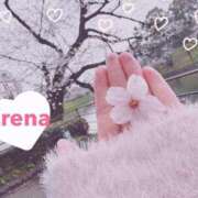 ヒメ日記 2025/04/05 04:49 投稿 エレナ 池袋マリン本店