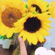 ヒメ日記 2025/07/26 04:56 投稿 エレナ 池袋マリン本店