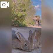 ヒメ日記 2025/11/20 19:36 投稿 エレナ 池袋マリン本店