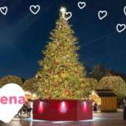 ヒメ日記 2025/12/24 06:26 投稿 エレナ 池袋マリン本店