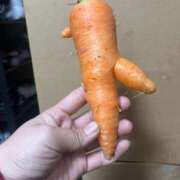 ヒメ日記 2025/03/03 13:03 投稿 知念（ちねん） 丸妻 錦糸町店