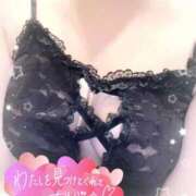 ヒメ日記 2025/02/19 12:46 投稿 ふたば 元町奥さま