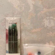 ヒメ日記 2026/01/30 00:20 投稿 おとか 奥鉄オクテツ東京店（デリヘル市場）