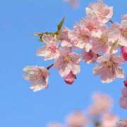 ヒメ日記 2026/04/03 01:17 投稿 しおり 千葉ミセスアロマ（ユメオト）